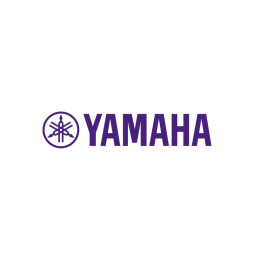ECU Taipan per Yamaha