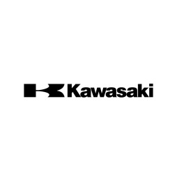 ECU Taipan per Kawasaki