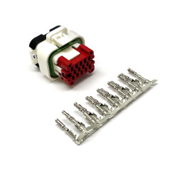 copy of Cablaggio standard a 14 pin