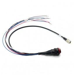 Standard harness for SmartyCam 3 Dual