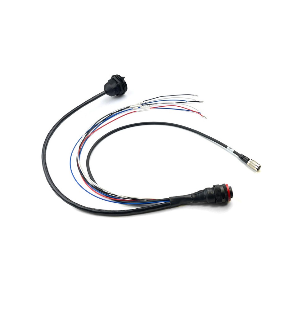 Standard + Ethernet harness for SmartyCam 3 Dual